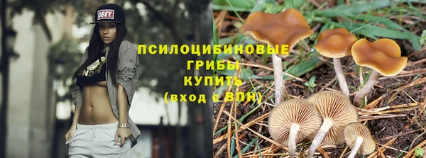СК Баксан