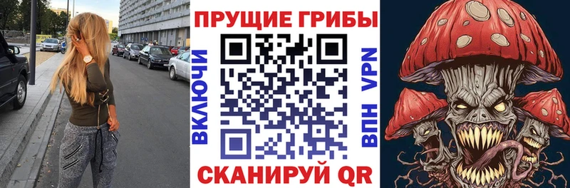 Галлюциногенные грибы прущие грибы  Соль-Илецк 