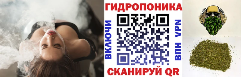 blacksprut как войти  Соль-Илецк  Шишки марихуана ГИДРОПОН 